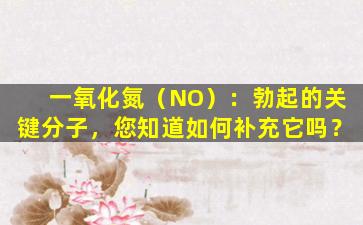 一氧化氮（NO）：勃起的关键分子，您知道如何补充它吗？