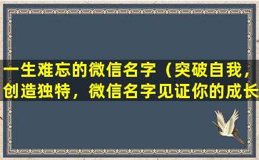 一生难忘的微信名字（突破自我，创造独特，微信名字见证你的成长之路）