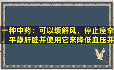 一种中药：可以缓解风，停止痉挛，平静肝脏并使用它来降低血压并治疗头晕和麻木性的胃胃elata。