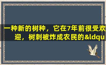 一种新的树种，它在7年前很受欢迎，树刺被炸成农民的“宝藏”。现在发生了什么