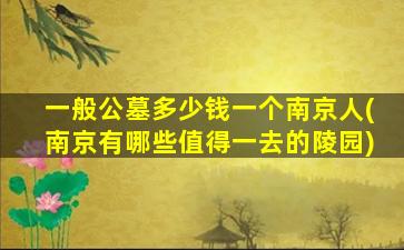 一般公墓多少钱一个南京人(南京有哪些值得一去的陵园)
