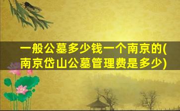 一般公墓多少钱一个南京的(南京岱山公墓管理费是多少)