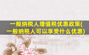 一般纳税人增值税优惠政策(一般纳税人可以享受什么优惠)