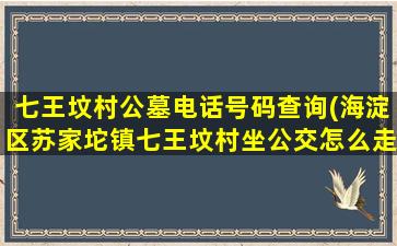七王坟村公墓电话号码查询(海淀区苏家坨镇七王坟村坐公交怎么走)