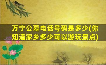 万宁公墓电话号码是多少(你知道家乡多少可以游玩景点)