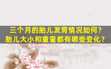 三个月的胎儿发育情况如何？胎儿大小和重量都有哪些变化？