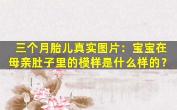 三个月胎儿真实图片：宝宝在母亲肚子里的模样是什么样的？