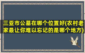三亚市公墓在哪个位置好(农村老家最让你难以忘记的是哪个地方)