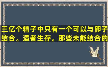 三亿个精子中只有一个可以与卵子结合。适者生存。那些未能结合的都在哪里？