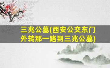 三兆公墓(西安公交东门外转那一路到三兆公墓)