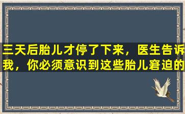 三天后胎儿才停了下来，医生告诉我，你必须意识到这些胎儿窘迫的信号。
