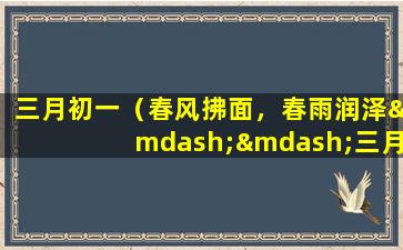 三月初一（春风拂面，春雨润泽——三月初一，奏响春天的序章）