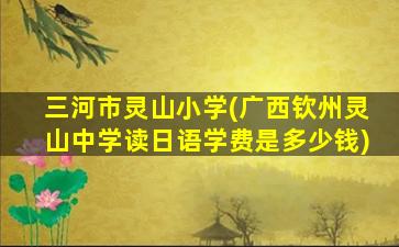 三河市灵山小学(广西钦州灵山中学读日语学费是多少钱)