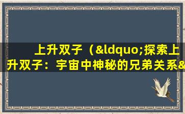 上升双子（“探索上升双子：宇宙中神秘的兄弟关系”）