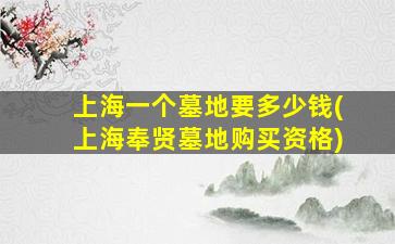 上海一个墓地要多少钱(上海奉贤墓地购买资格)