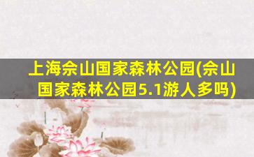 上海佘山国家森林公园(佘山国家森林公园5.1游人多吗)