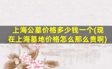上海公墓价格多少钱一个(现在上海墓地价格怎么那么贵啊)