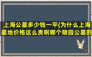 上海公墓多少钱一平(为什么上海墓地价格这么贵啊哪个陵园公墓的价格相对低些)