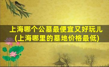 上海哪个公墓最便宜又好玩儿(上海哪里的墓地价格最低)