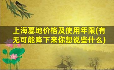 上海墓地价格及使用年限(有无可能降下来你想说些什么)