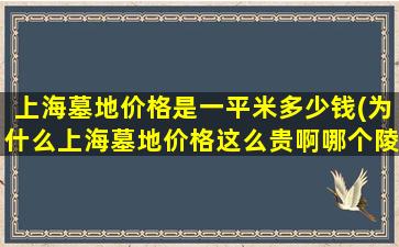 上海墓地价格是一平米多少钱(为什么上海墓地价格这么贵啊哪个陵园公墓的价格相对低些)
