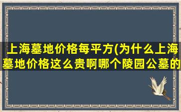 上海墓地价格每平方(为什么上海墓地价格这么贵啊哪个陵园公墓的价格相对低些)
