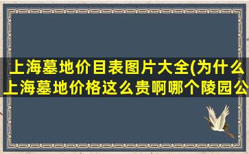 上海墓地价目表图片大全(为什么上海墓地价格这么贵啊哪个陵园公墓的价格相对低些)