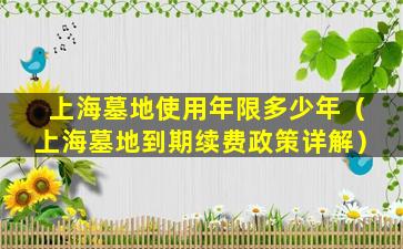 上海墓地使用年限多少年（上海墓地到期续费政策详解）