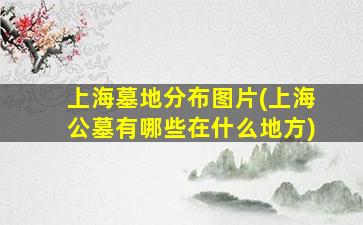 上海墓地分布图片(上海公墓有哪些在什么地方)