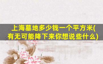 上海墓地多少钱一个平方米(有无可能降下来你想说些什么)