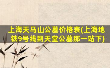 上海天马山公墓价格表(上海地铁9号线到天堂公墓那一站下)