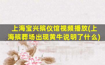 上海宝兴殡仪馆视频播放(上海殡葬场出现黄牛说明了什么)