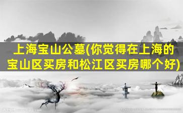 上海宝山公墓(你觉得在上海的宝山区买房和松江区买房哪个好)