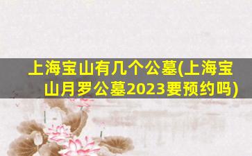 上海宝山有几个公墓(上海宝山月罗公墓2023要预约吗)