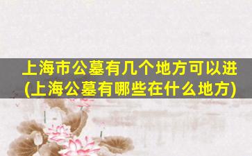 上海市公墓有几个地方可以进(上海公墓有哪些在什么地方)