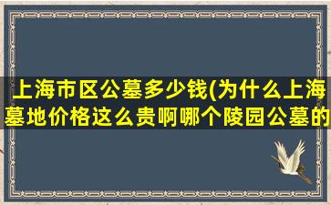 上海市区公墓多少钱(为什么上海墓地价格这么贵啊哪个陵园公墓的价格相对低些)