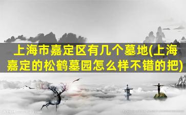 上海市嘉定区有几个墓地(上海嘉定的松鹤墓园怎么样不错的把)