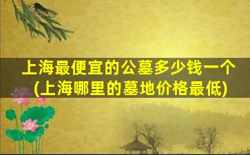 上海最便宜的公墓多少钱一个(上海哪里的墓地价格最低)