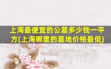 上海最便宜的公墓多少钱一平方(上海哪里的墓地价格最低)