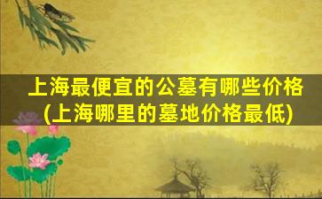 上海最便宜的公墓有哪些价格(上海哪里的墓地价格最低)