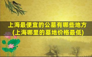 上海最便宜的公墓有哪些地方(上海哪里的墓地价格最低)