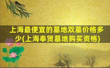 上海最便宜的墓地双墓价格多少(上海奉贤墓地购买资格)