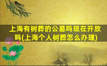 上海有树葬的公墓吗现在开放吗(上海个人树葬怎么办理)