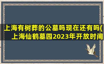 上海有树葬的公墓吗现在还有吗(上海仙鹤墓园2023年开放时间)