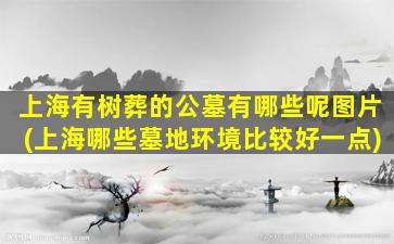 上海有树葬的公墓有哪些呢图片(上海哪些墓地环境比较好一点)