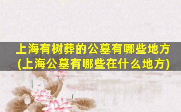 上海有树葬的公墓有哪些地方(上海公墓有哪些在什么地方)