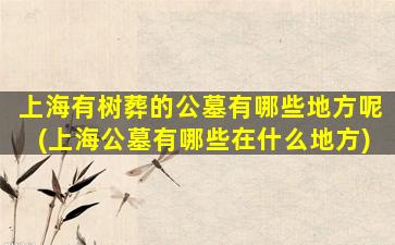 上海有树葬的公墓有哪些地方呢(上海公墓有哪些在什么地方)