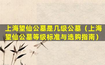 上海望仙公墓是几级公墓（上海望仙公墓等级标准与选购指南）