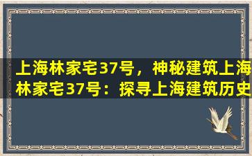 上海林家宅37号，神秘建筑上海林家宅37号：探寻上海建筑历史的密码