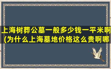 上海树葬公墓一般多少钱一平米啊(为什么上海墓地价格这么贵啊哪个陵园公墓的价格相对低些)